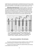 Referāts 'Pāļu pamati', 10.