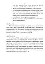 Referāts 'Rīgas Fondu biržas attīstības tendences vērtspapīru tirgus konsolidācijas proces', 5.