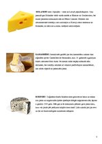 Referāts 'Sieri', 6.