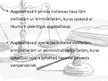 Prezentācija 'Tiesu hierarhija', 7.