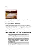 Referāts 'Vide Ikšķilē', 3.