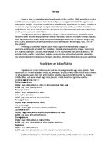 Referāts 'Veģetārisms', 1.