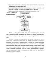 Referāts 'Pāreja no totalitāra politiskā režīma uz demokrātisku politisko režīmu', 19.