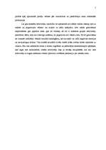 Referāts 'Konkurences analīze', 5.