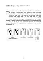 Referāts 'Triju zvaigžņu ordenis', 5.