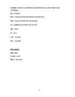 Diplomdarbs 'Ārvalstu tiešās investīcijas Latvijā', 6.