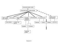 Prakses atskaite 'Prakse viesnīcā "Le Royal meridien Hamburg", saimniecības daļā, "room service" u', 17.