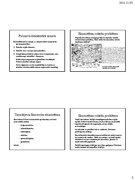 Prezentācija 'Ekosistēmas koncepcijas', 2.