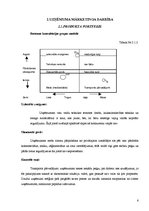 Prakses atskaite 'Prakses atskaite tirgzinībās', 6.