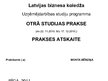Prakses atskaite 'Prakses atskaite tirgzinībās', 17.