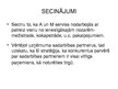 Prakses atskaite 'Prakses atskaite tirgzinībās', 28.