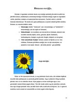 Referāts 'Darbs un enerģija', 13.