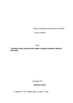 Eseja 'Vērtēšanai ir jābūt: pamatotai, daudzveidīgai, vispusīgai, sistemātiskai, objekt', 5.
