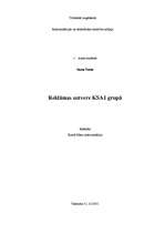 Referāts 'Reklāmas uztvere KSA1 grupā', 1.