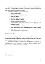 Diplomdarbs 'E-komercijas ietekmes analīze uzņēmuma darbības izmaksu samazināšanai', 22.