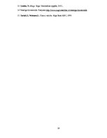 Referāts 'Veselīga dzīvesveida ietekmējošie faktori jauniešiem skolā', 29.