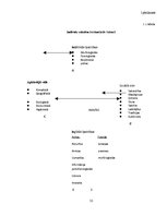 Referāts 'Veselīga dzīvesveida ietekmējošie faktori jauniešiem skolā', 31.