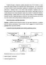 Konspekts 'Limitēts (ierobežots) pirkšanas lēmuma pieņemšanas process kā mārketinga problēm', 4.
