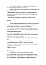 Referāts 'Latvijas un Polijas transporta sistēmu salīdzinājums', 3.