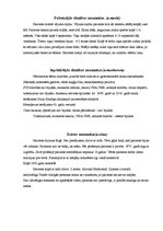 Prakses atskaite 'Aprūpes plāns terapijā', 5.