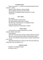 Prakses atskaite 'Aprūpes plāns terapijā', 10.