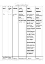 Prakses atskaite 'Aprūpes plāns terapijā', 13.