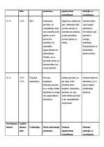 Prakses atskaite 'Aprūpes plāns terapijā', 14.