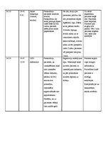 Prakses atskaite 'Aprūpes plāns terapijā', 15.