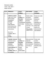 Prakses atskaite 'Aprūpes plāns terapijā', 17.