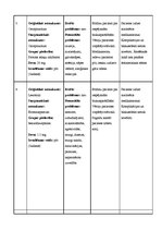 Prakses atskaite 'Aprūpes plāns terapijā', 18.