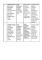 Prakses atskaite 'Aprūpes plāns terapijā', 19.