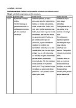 Prakses atskaite 'Aprūpes plāns terapijā', 28.