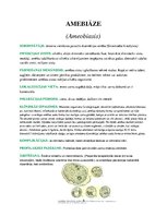 Konspekts 'Medicīniskā parazitoloģija', 4.