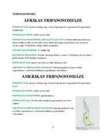 Konspekts 'Medicīniskā parazitoloģija', 5.