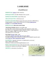 Konspekts 'Medicīniskā parazitoloģija', 6.