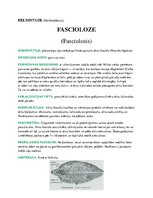 Konspekts 'Medicīniskā parazitoloģija', 9.