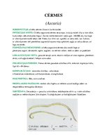 Konspekts 'Medicīniskā parazitoloģija', 10.