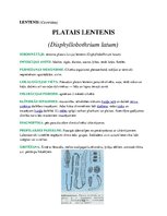 Konspekts 'Medicīniskā parazitoloģija', 13.