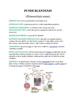 Konspekts 'Medicīniskā parazitoloģija', 14.