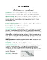 Konspekts 'Medicīniskā parazitoloģija', 17.