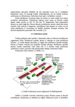 Referāts 'Izmaksu samazināšanas iespējas ražošanas uzņēmumā SIA "Zn Metālapstrāde"', 6.