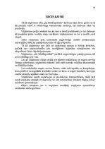 Referāts 'Izmaksu samazināšanas iespējas ražošanas uzņēmumā SIA "Zn Metālapstrāde"', 30.