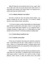 Referāts 'Ārējās ekonomiskās vides riska faktoru ietekme uz tautsaimniecības attīstību un ', 121.