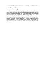 Konspekts 'Apraksts par noveli "Princeses fenomens"', 2.