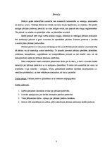 Referāts 'Pārtikas piedevas', 2.