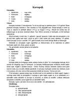 Konspekts 'Kartupeļi', 1.