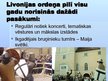 Prezentācija 'Ventspils Livonijas ordeņa pils', 9.