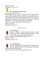 Referāts 'SIA "Sakret"', 17.