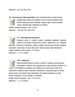 Referāts 'SIA "Sakret"', 20.