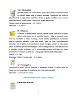 Referāts 'SIA "Sakret"', 21.